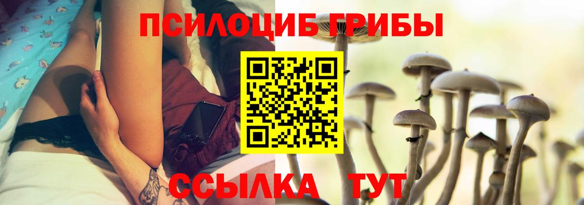 Галлюциногенные грибы GOLDEN TEACHER  Вход с VPN  Воскресенск 